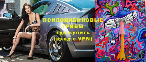 дживик Гусев
