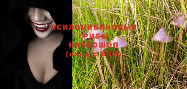 дживик Гусев