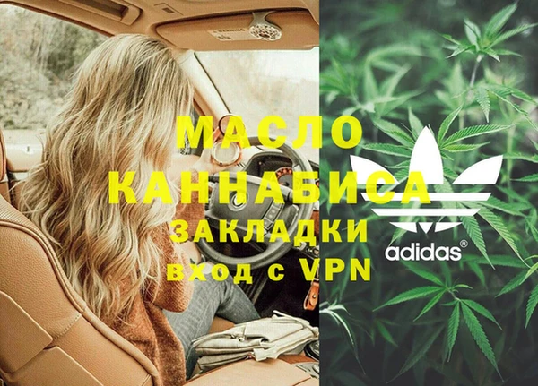 дживик Гусев