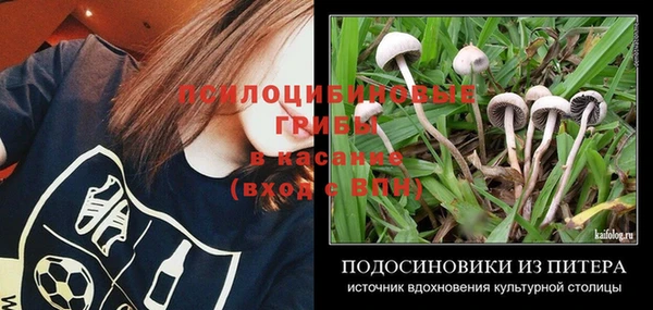 таблы Гусиноозёрск