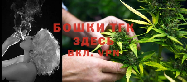 дживик Гусев